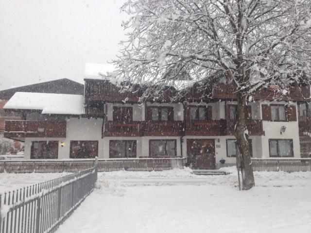 Albergo Garni Martina Carisolo Buitenkant foto